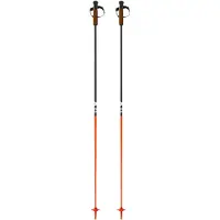 Fischer Bastões Gt 13 Comp Mag