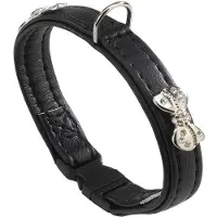 Ferplast Coleira De Cachorro Joy 20 Mm 31 Cm