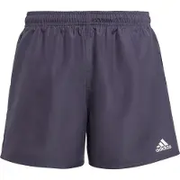 Adidas Calções de Natação Classic Badge of Sport