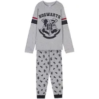 Cerda Harry Potter Pijama De Manga Comprida Harry Potter