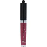 Bourjois Gloss Fabuleux 08