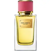 Dolce&Gabbana perfume Velvet Rose EDP 100 ml