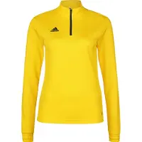 Adidas Moletom Entrada 22 Training
