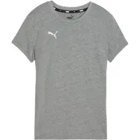 Puma Camisa funcionais 'TeamGOAL' cinzento / branco