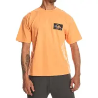 Quiksilver Camiseta De Manga Curta Back Flash