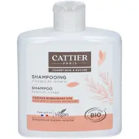 Cattier Shampooing Cheveux Regraissant Vite 250 ml