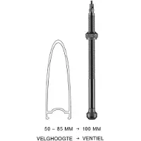 Schwalbe Válvulas Tubeless Presta 2 Unidades