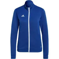 Adidas Casaco Entrada 22
