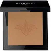 Stendhal Perfecting Compact Powder 131-Ambre