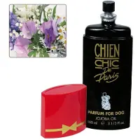 Chienchic Perfume Floral Para Cães 100ml
