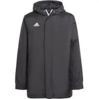Adidas Casaco Stadium Entrada 22