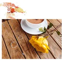 Hot Diamonds Collana Argento Diamante Flora Dp718 — Collana