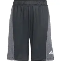 Adidas Calças de desporto 'Training AEROREADY Heather Shorts' cinzento / preto