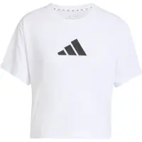 Adidas Camiseta De Manga Curta Train Essentials Big Logo Performance