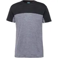 Icebreaker Camiseta De Manga Curta Merino 125 Cool-lite Sphere Iii Colour Block