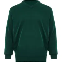 Rovic Pullover esmeralda