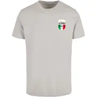 Mister tee Camisa 'Azurro Italia' cinzento claro