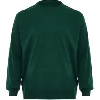Rovic Pullover verde escuro