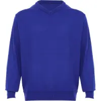 Rovic Pullover azul real