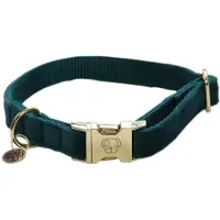 Kentucky Coleira De Cachorro Velvet