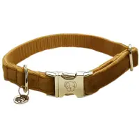 Kentucky Coleira De Cachorro Velvet