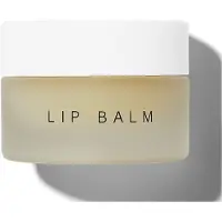 Dr. Barbara Sturm Lip Balm bálsamo hidratante e emoliente para os lábios 12 g