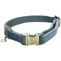 Kentucky Coleira De Cachorro Velvet