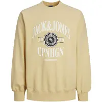 Jack & Jones Moletom Lucca Branding