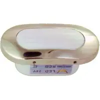 Goldenship Luz Led Branca Oval Para Interior/exterior De 55 Ma 12v