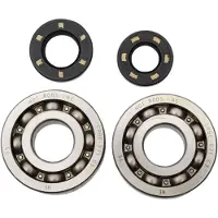 Hotrods Kit De Rolamentos E Vedações Do Veio De Manivela Kawasaki 2002-2007 Kx250