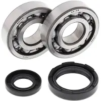 All Balls Kit De Rolamentos E Vedações Do Veio De Manivela Yamaha Wr250 1991-1997