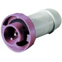 Oem Marine 3939245 Ficha 16a 12-24v