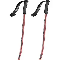 SCOTT Bastões Team Issue Gs