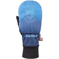 Silvini Mitene Montignoso