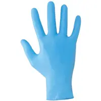 Officine Parolin Luvas 10pcs Box