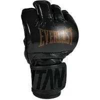 Everlast Luva De Combate Mma Titan Pro