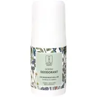 Raunsborg Desodorante Roll-on 75 Ml