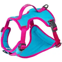 Freedog Arnês Para Cães Cool Pro Tech