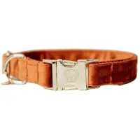 Kentucky Coleira De Cachorro Velvet
