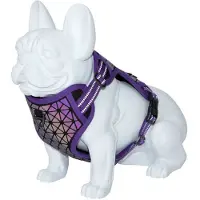 Freedog Arnês Para Cães Boreal