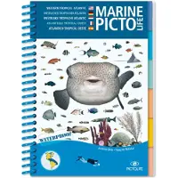 Pictolife Guia Caribean Marine