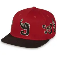 Grimey Boné Snapback Tusker Temple Bicolor
