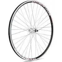 Gurpil Roda Traseira De Mtb Xm-1 8-11s 29´´ Tubeless