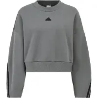 Adidas Sweatshirt 3-Stripes Future Icons