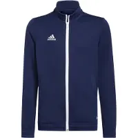Adidas Casaco Entrada 22