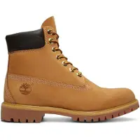 Timberland Botas baixas 6 Inch BOOT PREMIUM homens - Castanho - 47 1/2