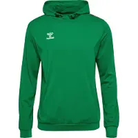 Hummel Moletom Com Capuz Authentic Pl
