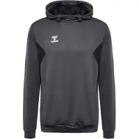 Hummel Moletom Com Capuz Authentic Pl