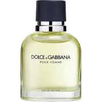Dolce&Gabbana perfume Pour Homme EDT 75 ml