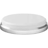 HORL Whetstone Extra Fine S5-HO3-P disco de afiar de cerâmica, 6000 grão